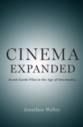 Cinema Expanded : Avant-Garde Film in the Age of Intermedia - eBook