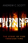 Burning Planet : The Story of Fire Through Time - eBook