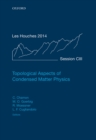 Topological Aspects of Condensed Matter Physics : Lecture Notes of the Les Houches Summer School: Volume 103, August 2014 - eBook
