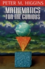 Mathematics for the Curious - eBook