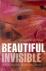 The Beautiful Invisible : Creativity, imagination, and theoretical physics - eBook