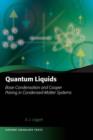 Quantum Liquids : Bose condensation and Cooper pairing in condensed-matter systems - eBook
