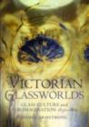 Victorian Glassworlds : Glass Culture and the Imagination 1830-1880 - eBook