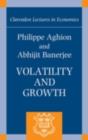 Volatility and Growth - eBook