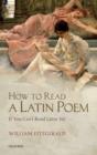 How to Read a Latin Poem : If You Can't Read Latin Yet - eBook