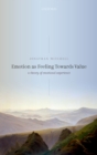 Emotion as Feeling Towards Value : A Theory of Emotional Experience - eBook