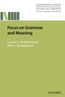 Focus on Grammar and Meaning - eBook