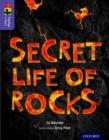 Oxford Reading Tree TreeTops inFact: Level 11: Secret Life of Rocks - Book