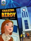 Project X Origins Graphic Texts: Grey Book Band, Oxford Level 14: Chasing Birdy - Book