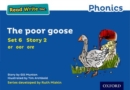 Read Write Inc. Phonics: The Poor Goose (Blue Set 6 Storybook 2) - Book
