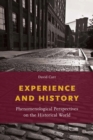 Experience and History : Phenomenological Perspectives on the Historical World - eBook