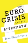 The Euro Crisis and Its Aftermath - eBook