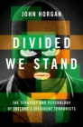 Divided We Stand : The Strategy and Psychology of Ireland's Dissident Terrorists - eBook