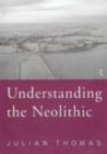 Understanding the Neolithic - eBook