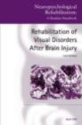 Rehabilitation of Visual Disorders After Brain Injury : 2nd Edition - eBook