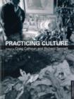 Practicing Culture - eBook