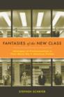 Fantasies of the New Class : Ideologies of Professionalism in Post-World War II American Fiction - eBook