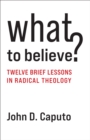 What to Believe? : Twelve Brief Lessons in Radical Theology - eBook