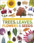 Our World in Pictures: Trees, Leaves, Flowers & Seeds - eBook