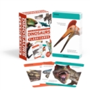 Our World in Pictures Dinosaurs and Other Prehistoric Creatures Flash Cards - Book