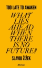 Too Late to Awaken : What Lies Ahead When There is No Future? - eBook
