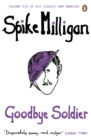Goodbye Soldier - eBook