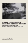 Amaza Lee Meredith Imagines Herself Modern : Architecture and the Black American Middle Class - Book