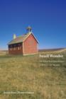 Small Wonder : The Little Red Schoolhouse in History and Memory - eBook