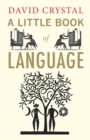 A Little Book of Language - eBook