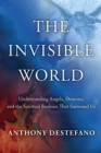 Invisible World - eBook