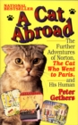 Cat Abroad - eBook