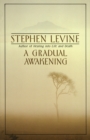 Gradual Awakening - eBook