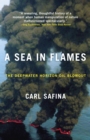 Sea in Flames - eBook