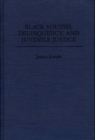Black Youths, Delinquency, and Juvenile Justice - eBook