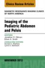 Imaging of the Pediatric Abdomen and Pelvis, An Issue of Magnetic Resonance Imaging Clinics - eBook