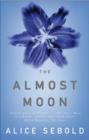 The Almost Moon - eBook