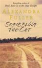 Scribbling the Cat : Travels with an African Soldier - eBook
