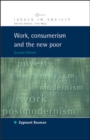 Work, Consumerism and the New Poor - eBook