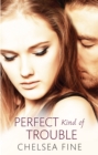 Perfect Kind of Trouble - eBook