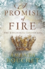 A Promise of Fire : Enter an addictive world of romantic fantasy - Book
