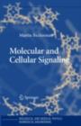 Molecular and Cellular Signaling - eBook