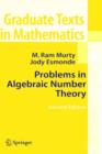 Problems in Algebraic Number Theory - eBook