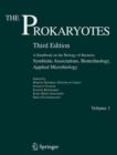 The Prokaryotes : Vol. 1:  Symbiotic Associations, Biotechnology, Applied Microbiology - eBook