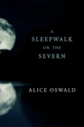 A Sleepwalk on the Severn - Book