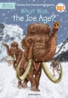 What Was the Ice Age? - eBook