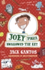 Joey Pigza Swallowed The Key - Book