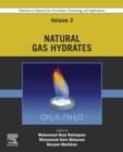 Advances in Natural Gas: Formation, Processing, and Applications. Volume 3: Natural Gas Hydrates - eBook