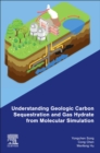 Understanding Geologic Carbon Sequestration and Gas Hydrate from Molecular Simulation - Book