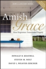 Amish Grace : How Forgiveness Transcended Tragedy - eBook