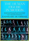 The Human Figure in Motion - Book